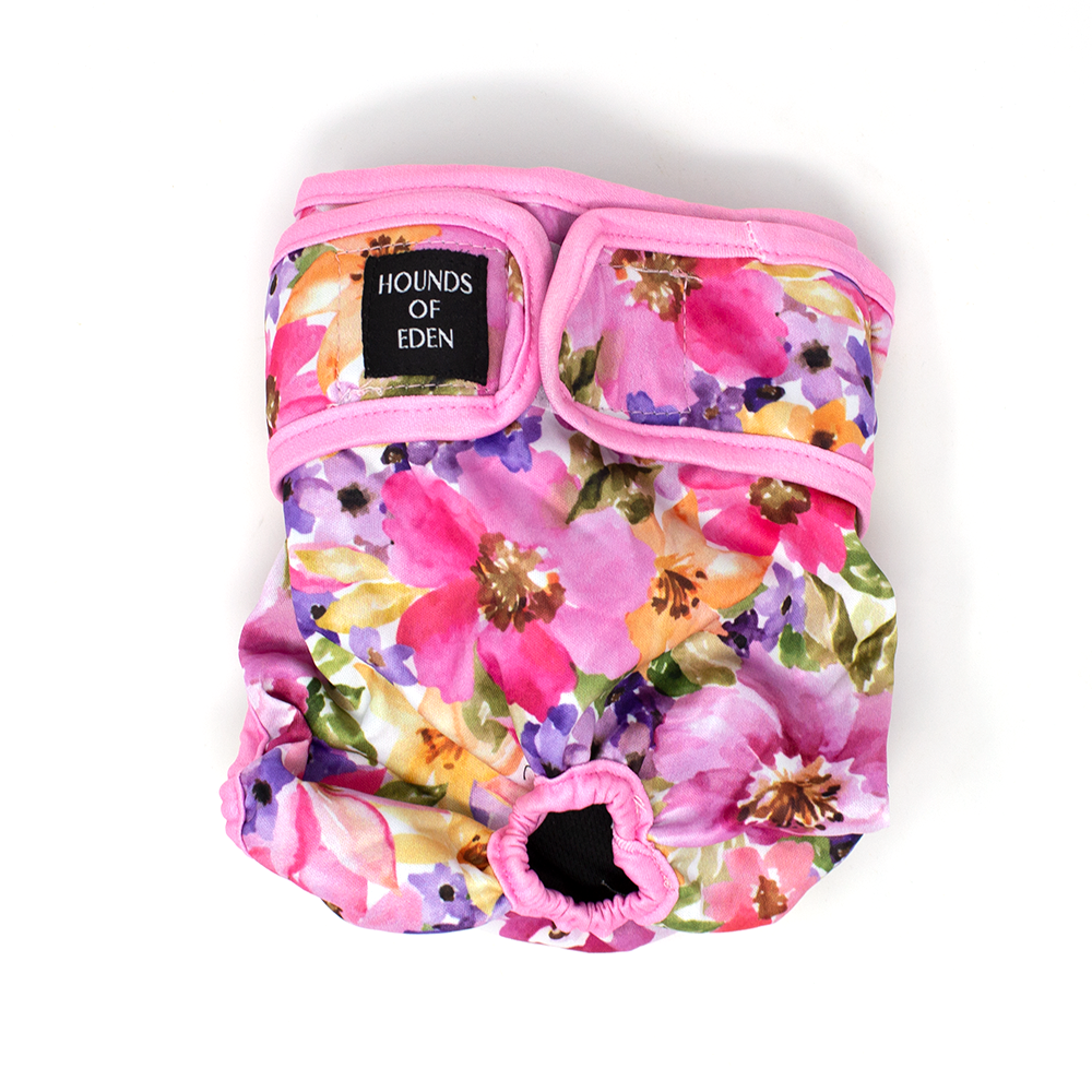 Female sales dog panties