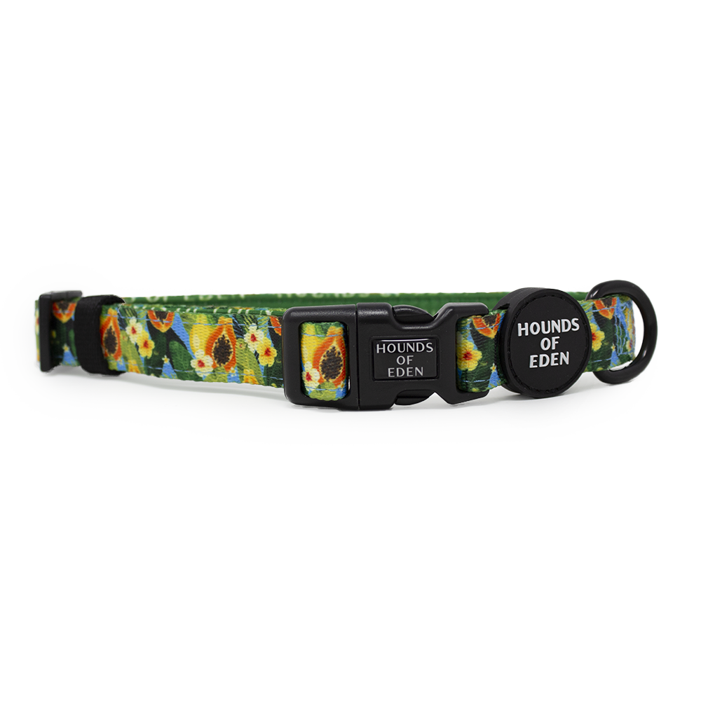 Pupaya Design Dog Collar Hounds of Eden