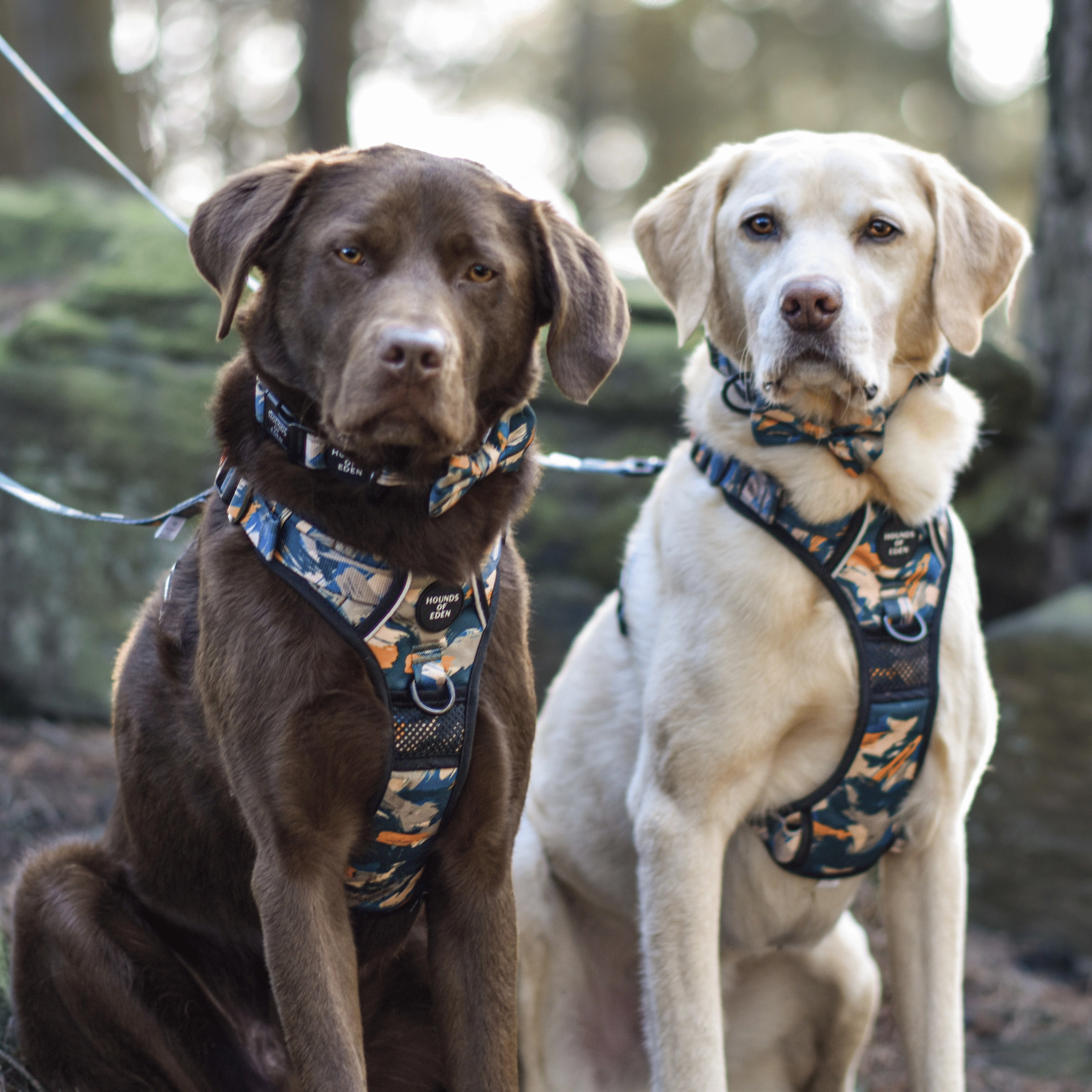 Supaw Strong™ Harnesses