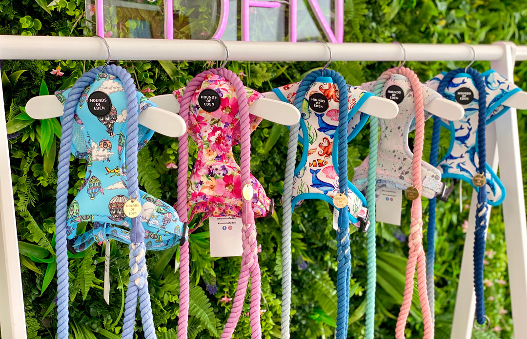 New! Spring/Summer Collection