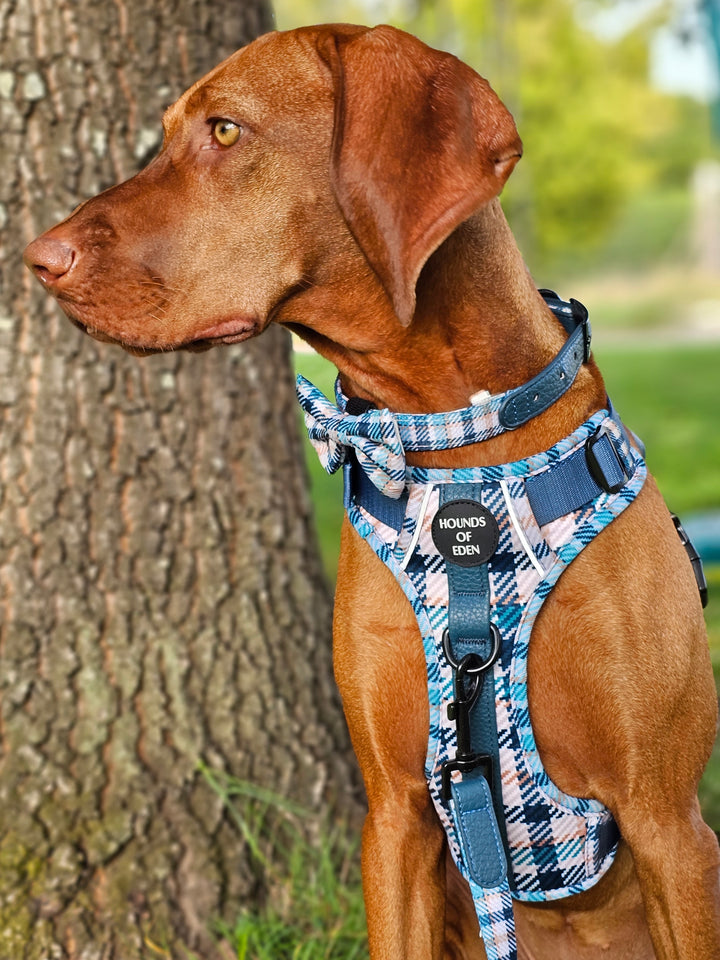Tealing Smart Dog Supaw Strong Lite™ Harness (XS-XL)