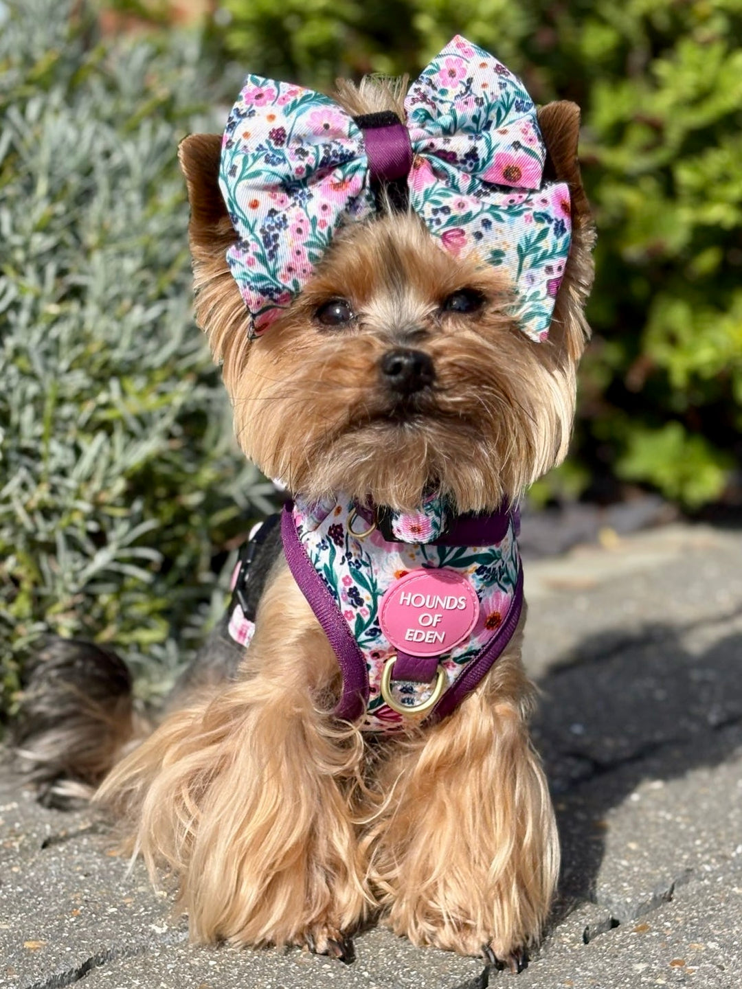 Patchy’s Plum Petals - Dog Sailor Bow Tie