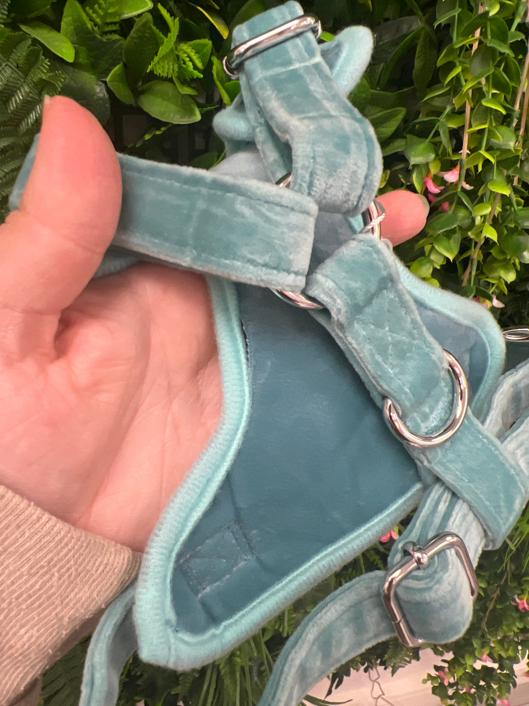 OUTLET - Tiffany’s Velvet XS harness