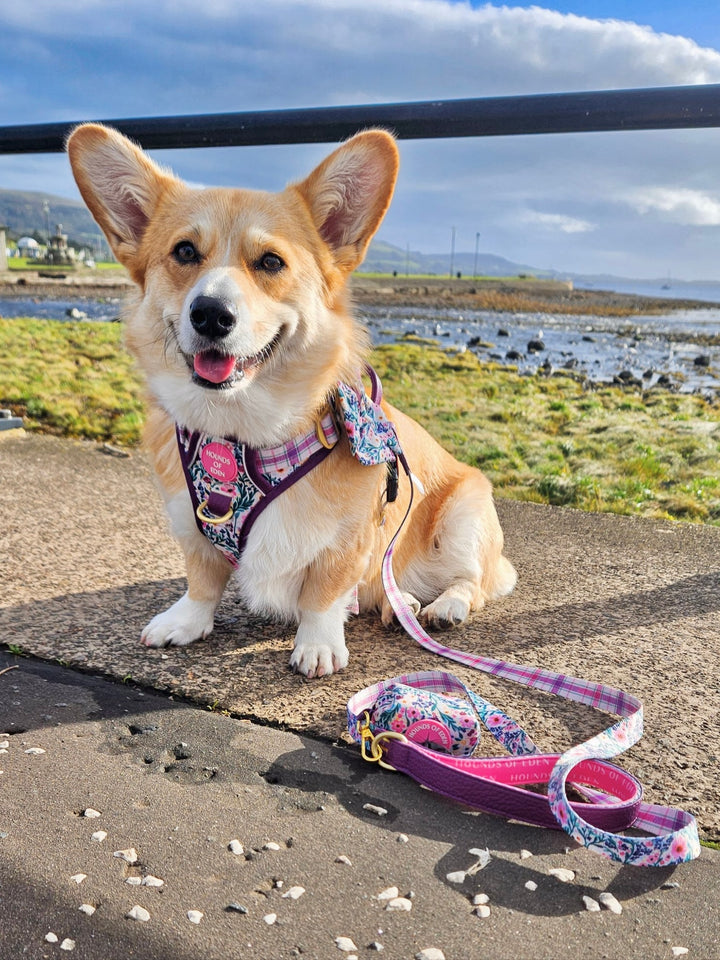 Patchy’s Plum Petals - Supaw Strong™ Dog Harness (XS-XL)