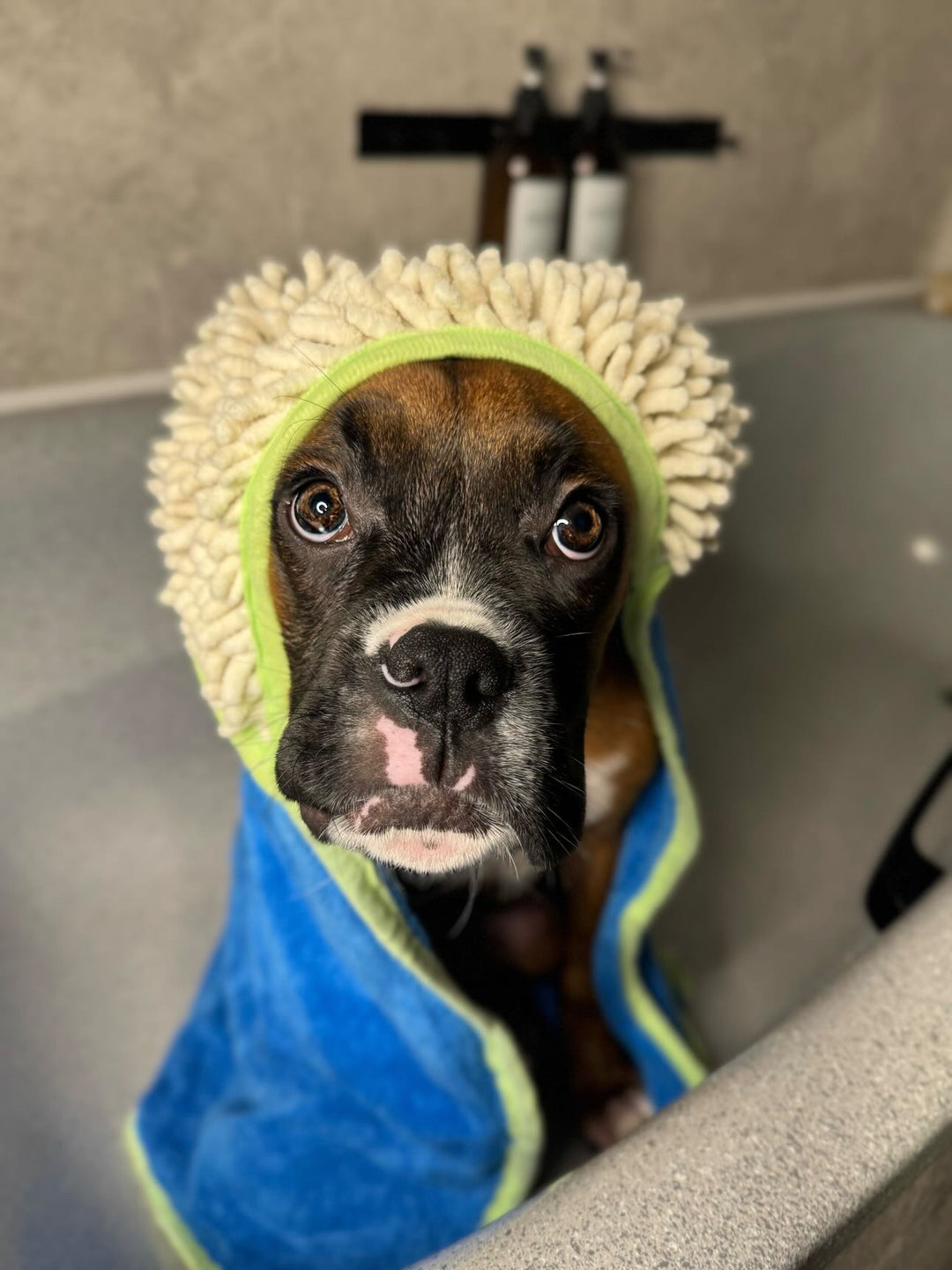 Eden's Orchard Dog Towel