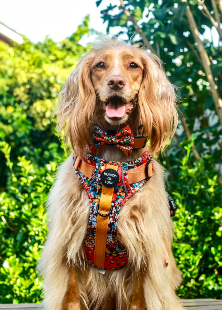 Retro Bloom Leather Dog Collar