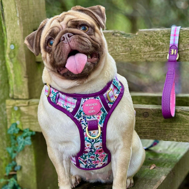 Patchy’s Plum Petals - Supaw Strong™ Dog Harness (XS-XL)
