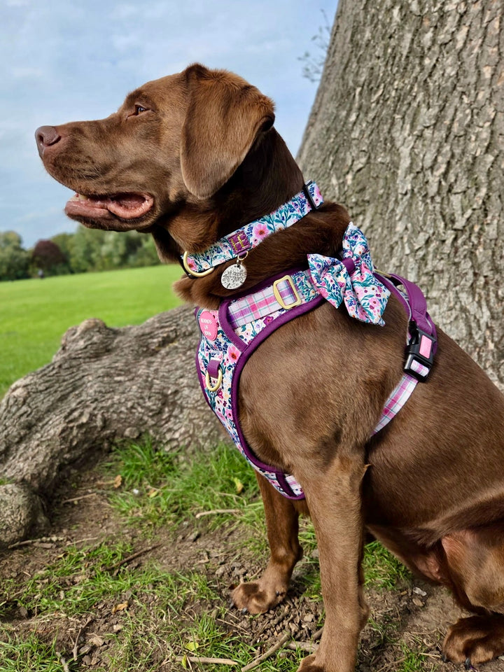 Patchy’s Plum Petals - Dog Sailor Bow Tie