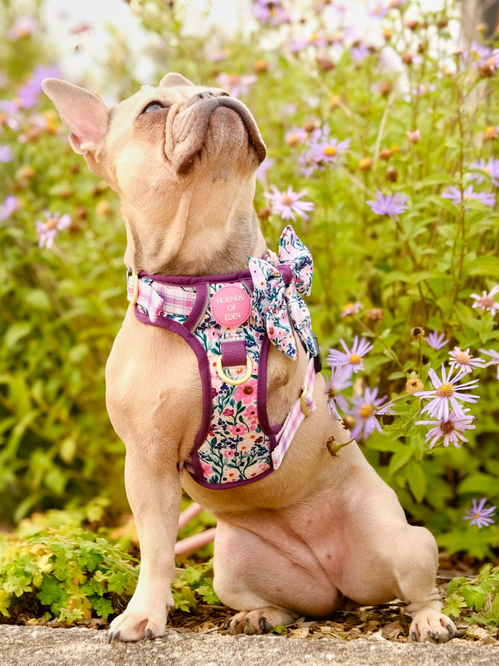 Patchy’s Plum Petals - Dog Sailor Bow Tie