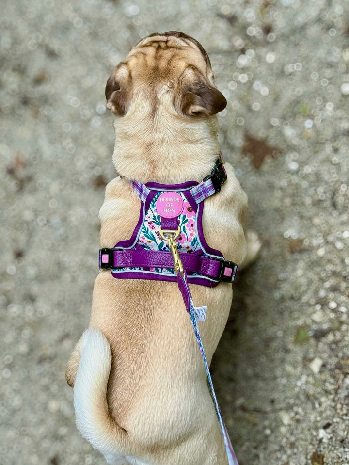 Patchy’s Plum Petals - Supaw Strong™ Dog Harness (XS-XL)
