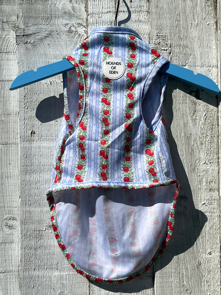 Eden's Orchard Dog Cooling Vest