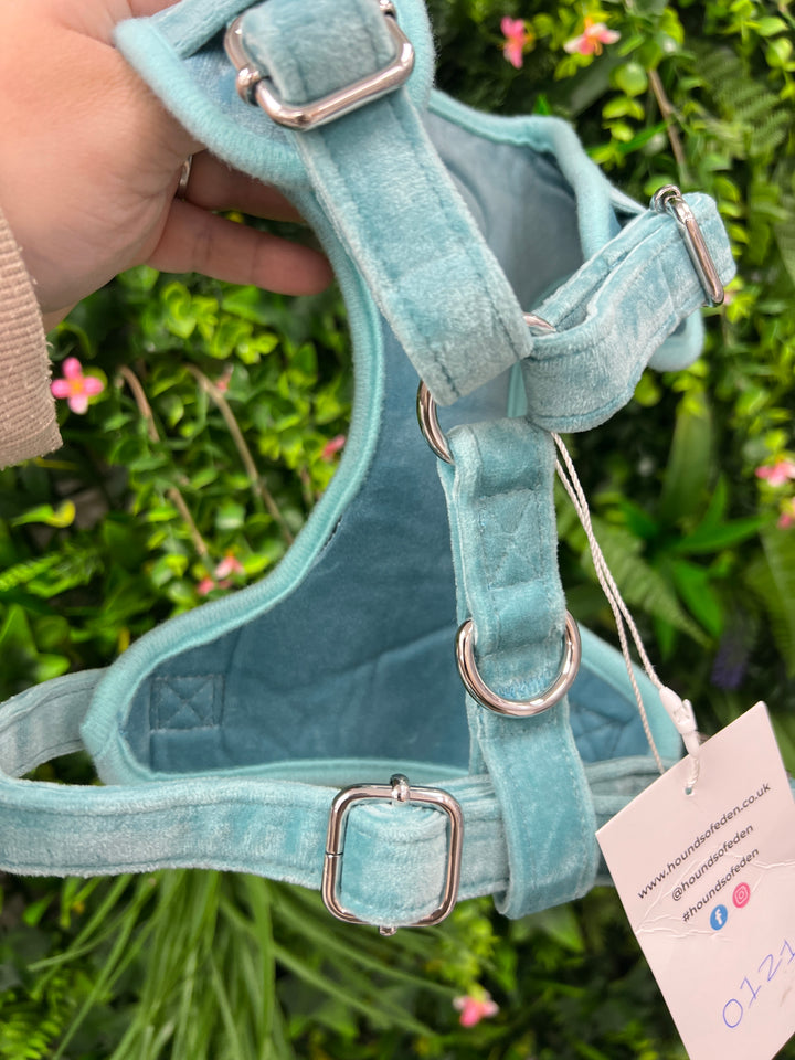 OUTLET - Tiffany’s Velvet XS harness