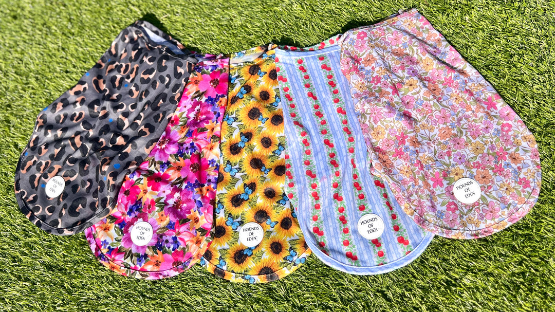 Florentina Dog Cooling Vest