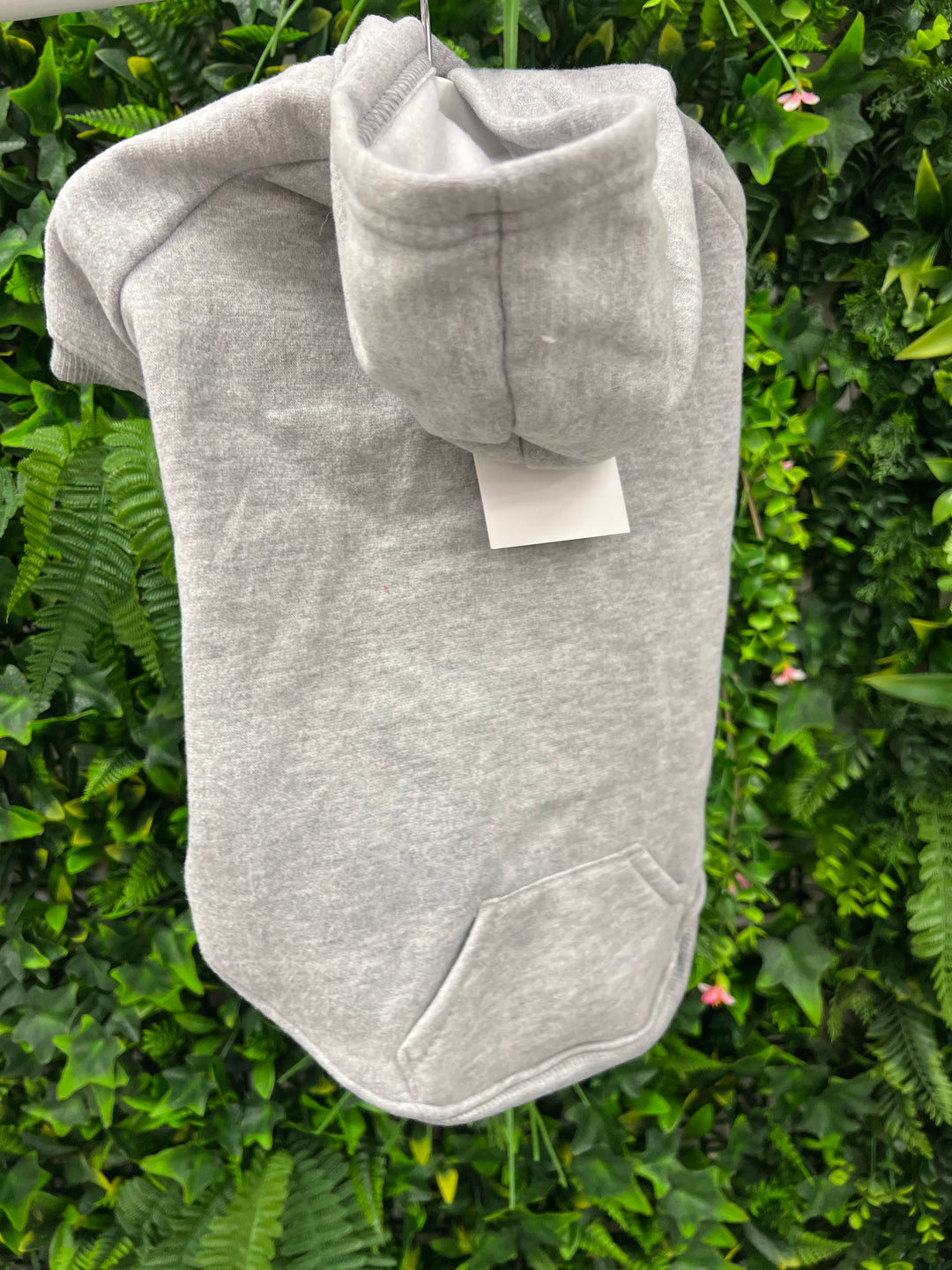 OUTLET- Dachshund Medium Dog Hoodie, Grey, for Mini’s