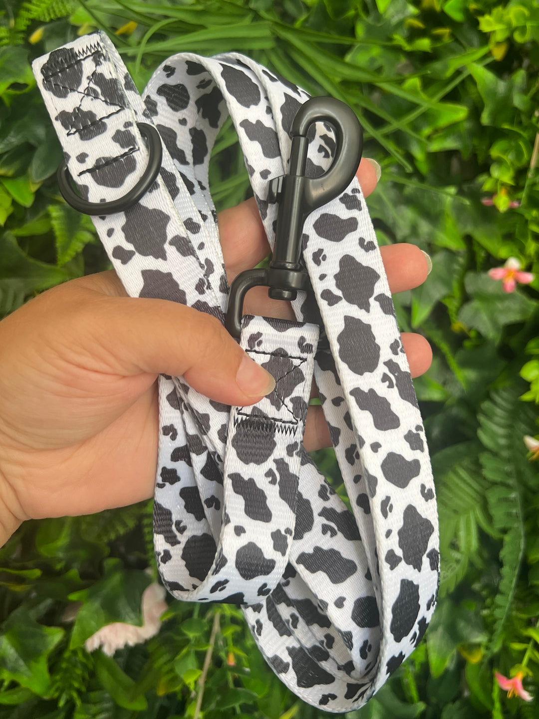 OUTLET- Sample: Cow print lead - Extra Wide + Long