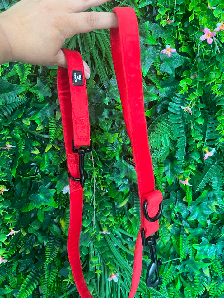 OUTLET- Sample: Red Velvet Multi Lead, Double ended clips, Training etc