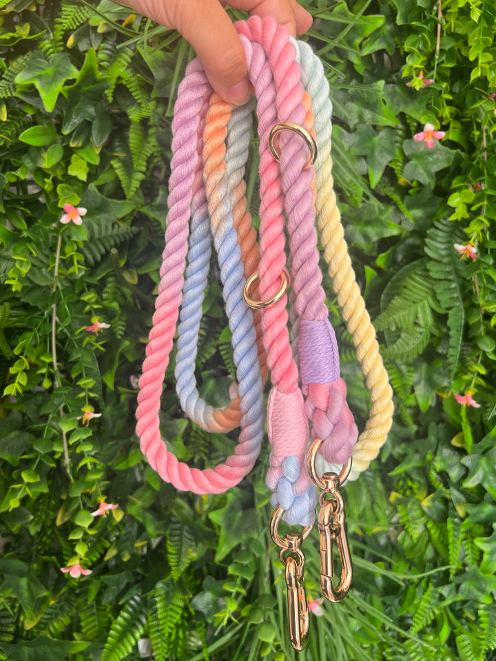 OUTLET- Sample: Ombre Pastel Rainbow Rope training Lead, Double ended Clips, Extra Long, Gold