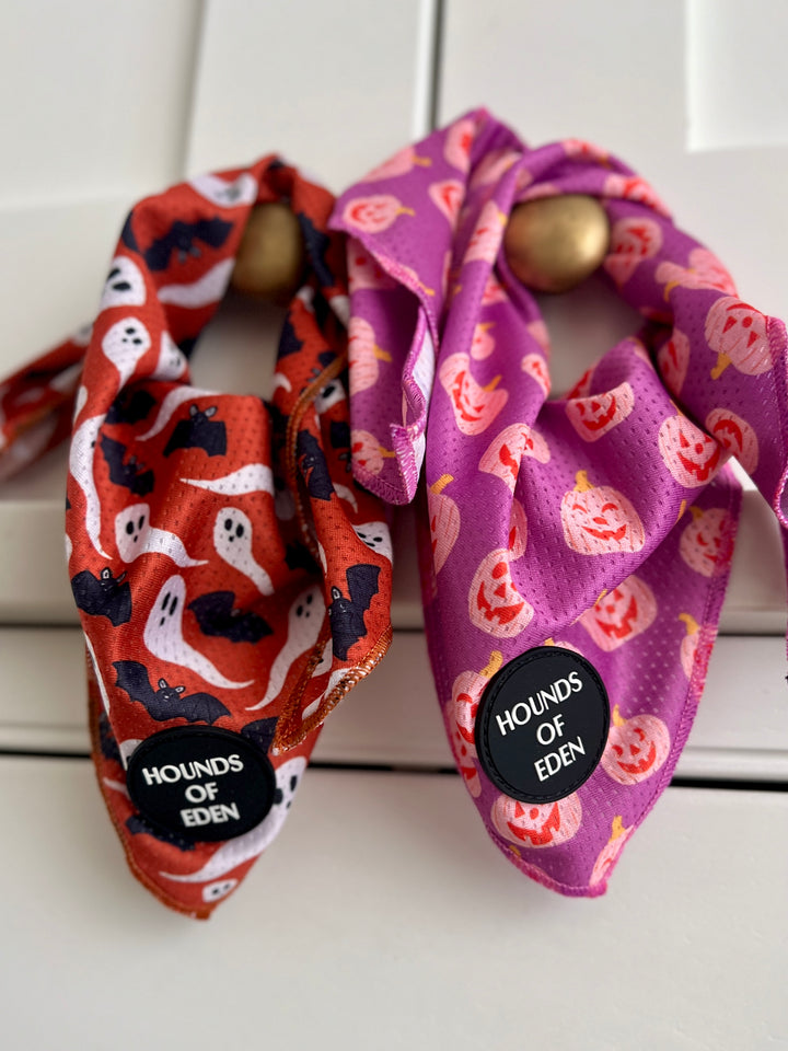 Lilac Grinning Pumpkin Halloween Dog Bandana 🎃