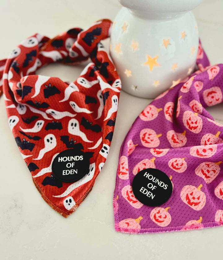 Lilac Grinning Pumpkin Halloween Dog Bandana 🎃