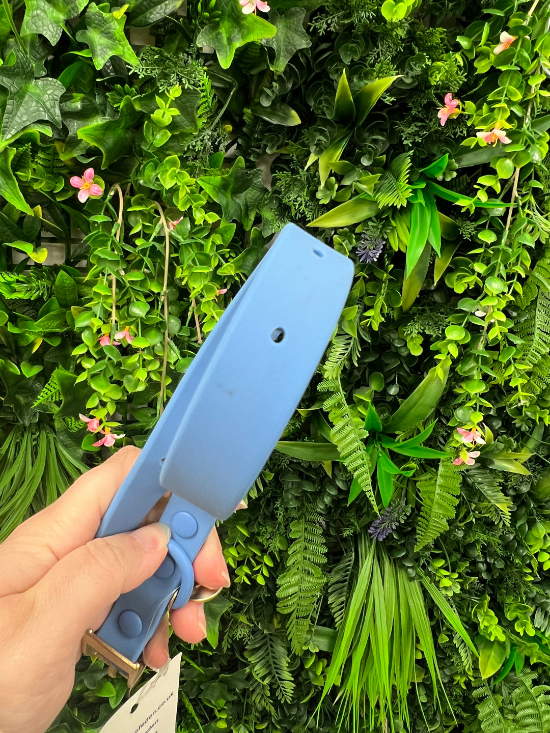 OUTLET - All Weather Lead Collar - Blue, Size Small