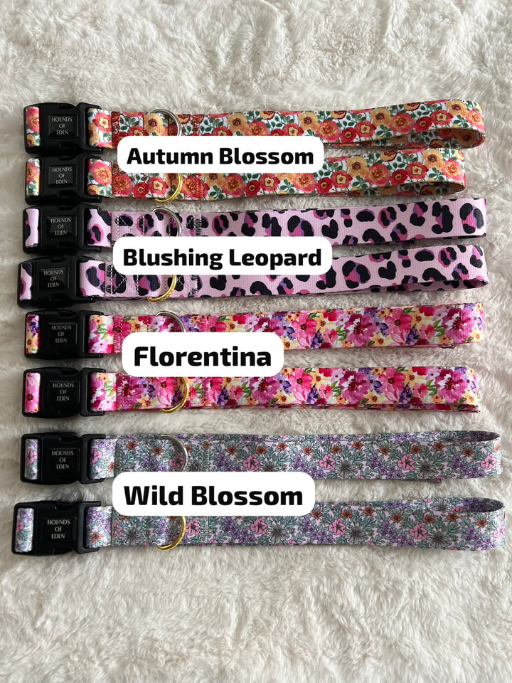 Correa de cintura para pasear perros con manos libres - Para usar con la bolsa para pasear perros Ulti-Mate - Herrajes plateados