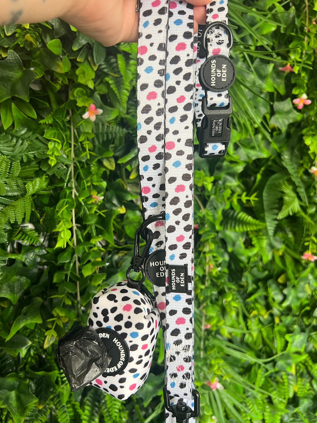 OUTLET- Spotty Collar in Small, lead + poo bag