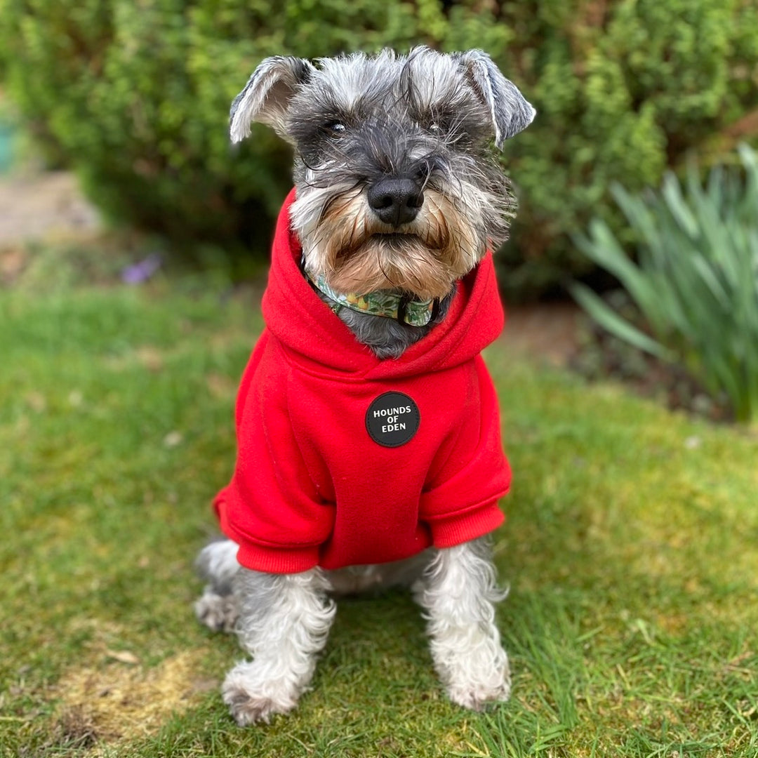 Dog Hoodie Red