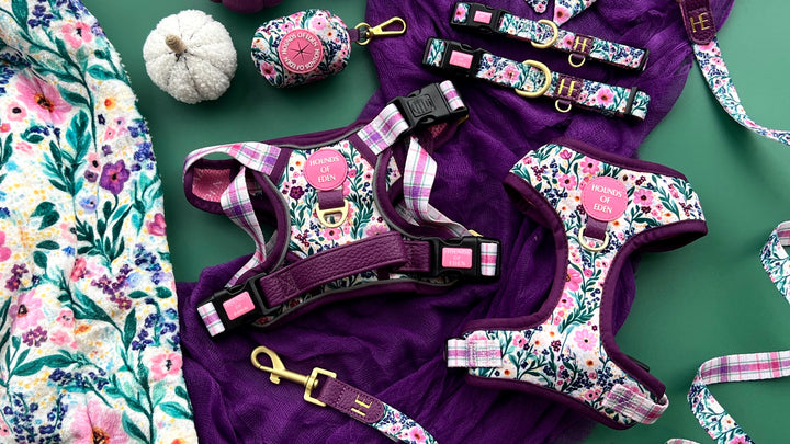 Patchy’s Plum Petals - Supaw Strong™ Dog Harness (XS-XL)