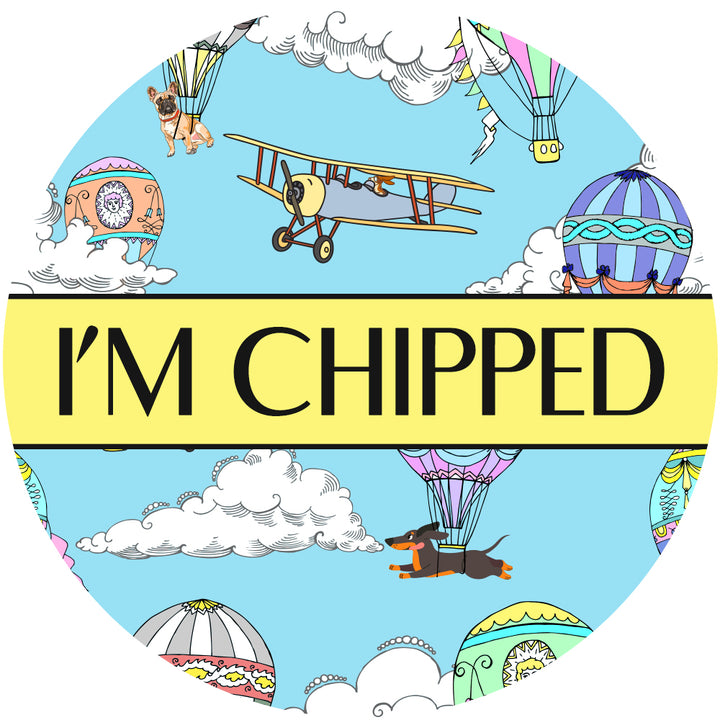 'Up, Pupilot up!' - Hot air Balloon + Plane matching Pet Tag