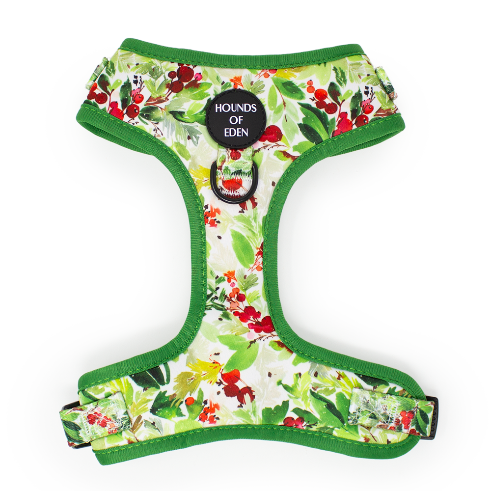 Winter Spruce & Berries dog harness
