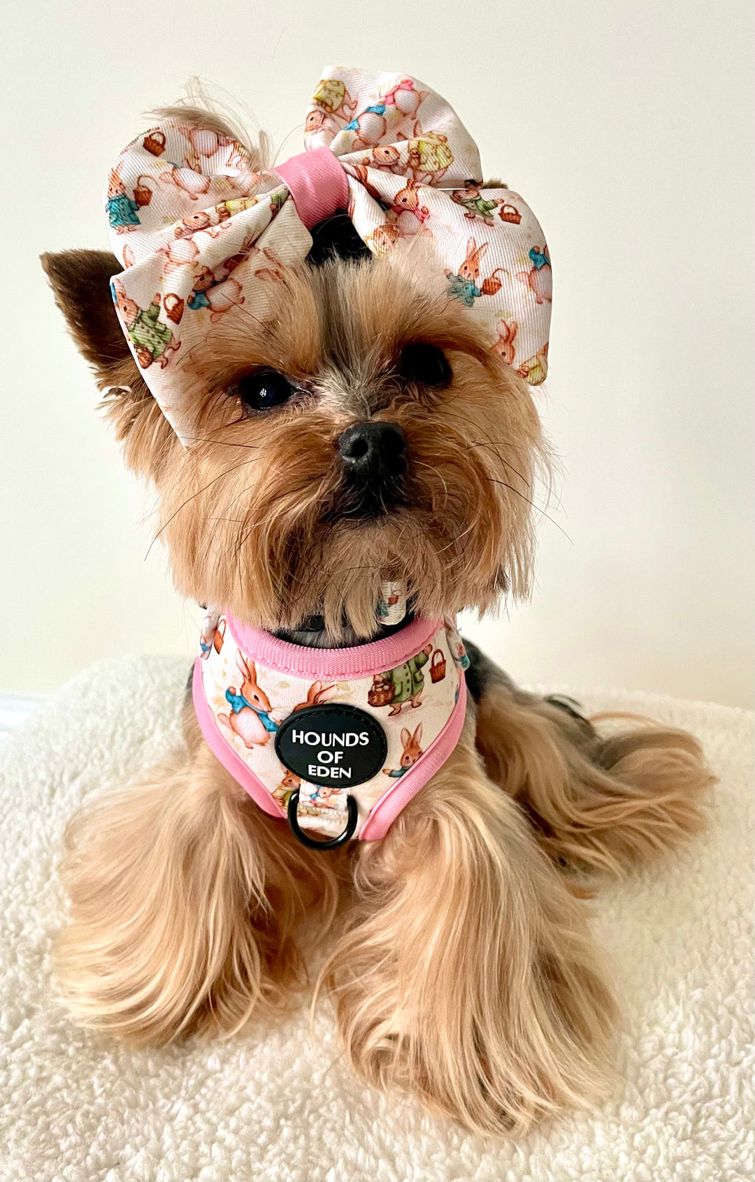 Bunny Tales - Pink, Dog Sailor Bow Tie
