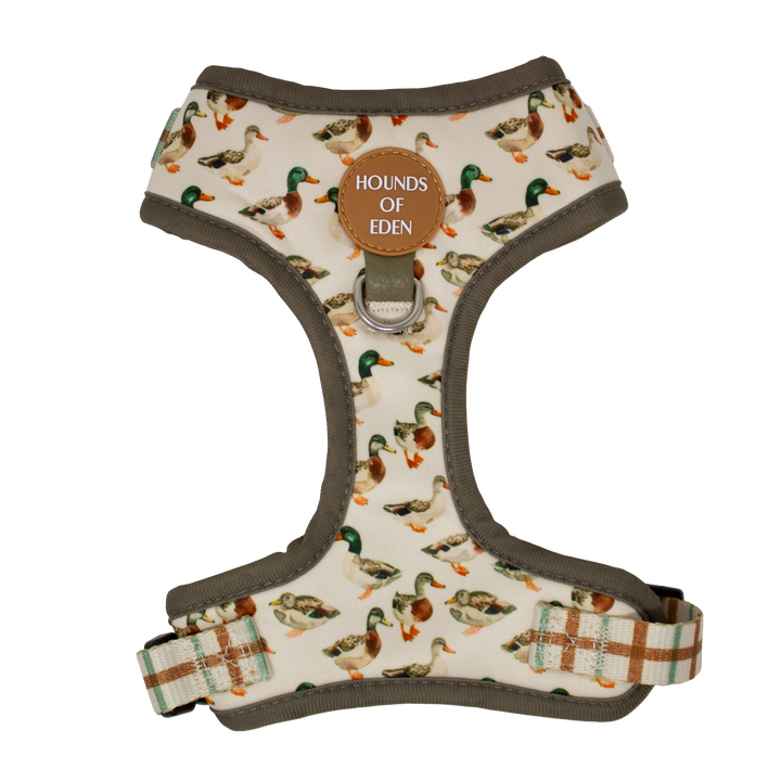 Puddle Ducks - Dog Collar + ID Tag Holder