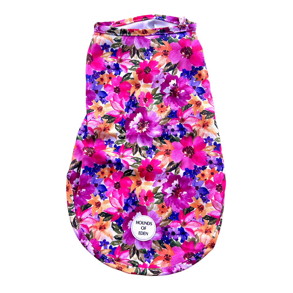 Florentina Dog Cooling Vest