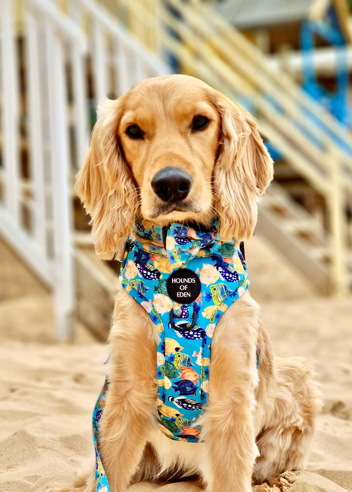 Under The Sea Design Dog Collar