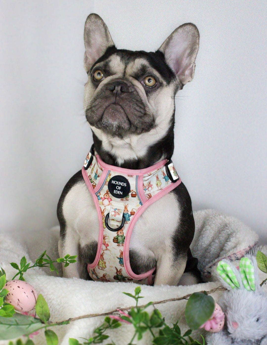 Bunny Tales - Pink, Dog Supaw Strong™ Lite Harness (XS-XL)