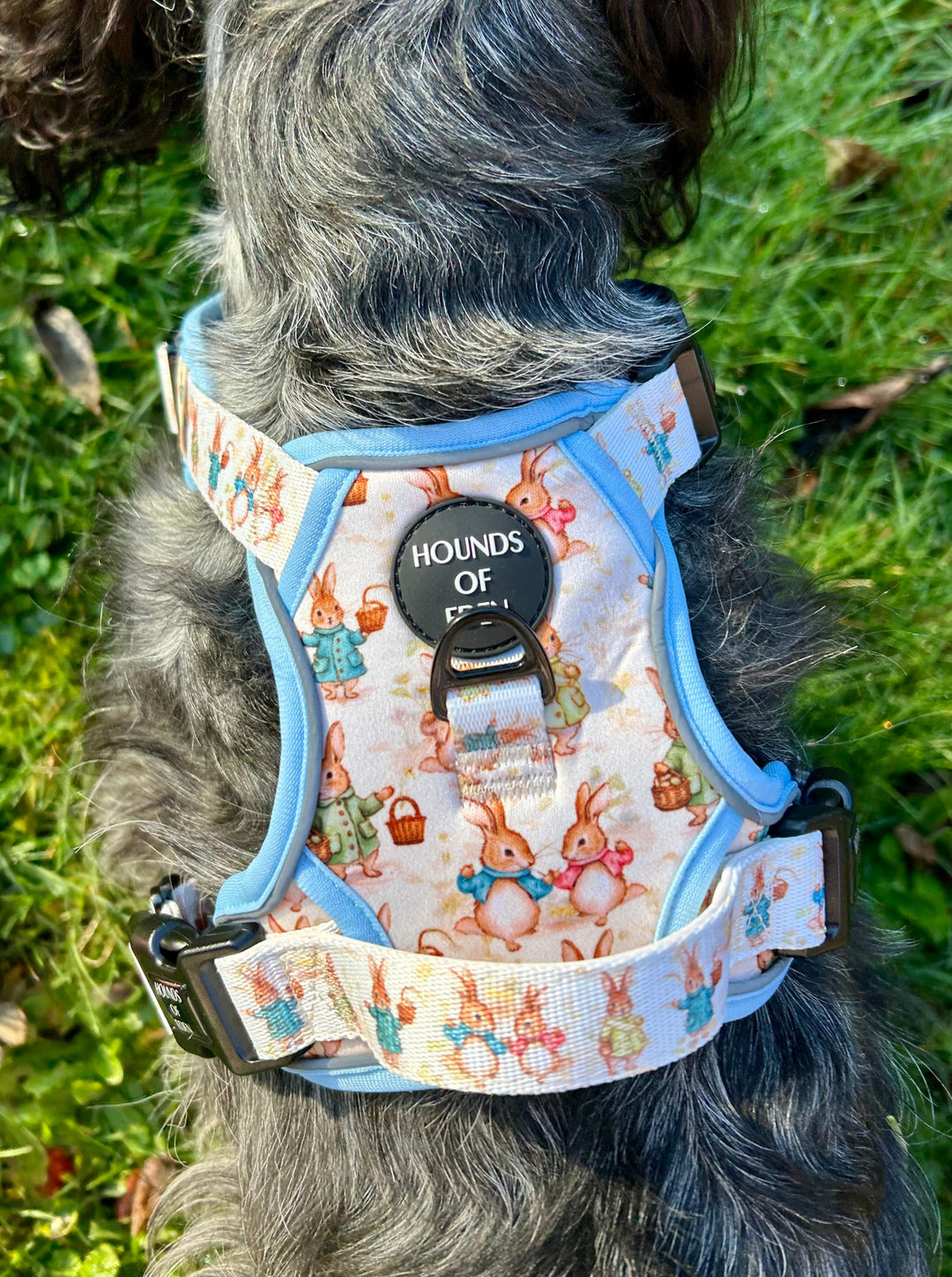 Bunny Tales - Blue, Dog Supaw Strong™ Lite Harness (XS-XL)
