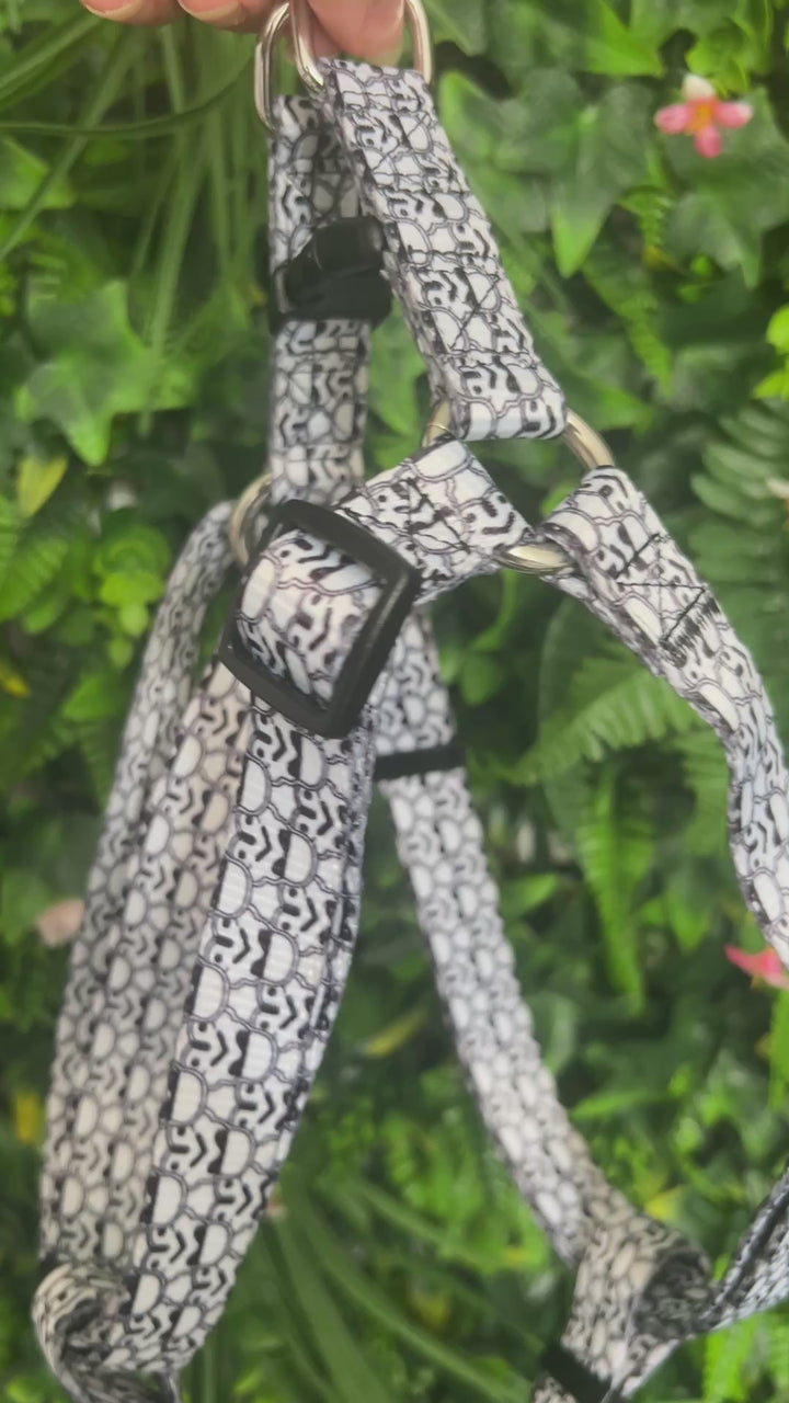 OUTLET- Sample: Step in Strap Harness
