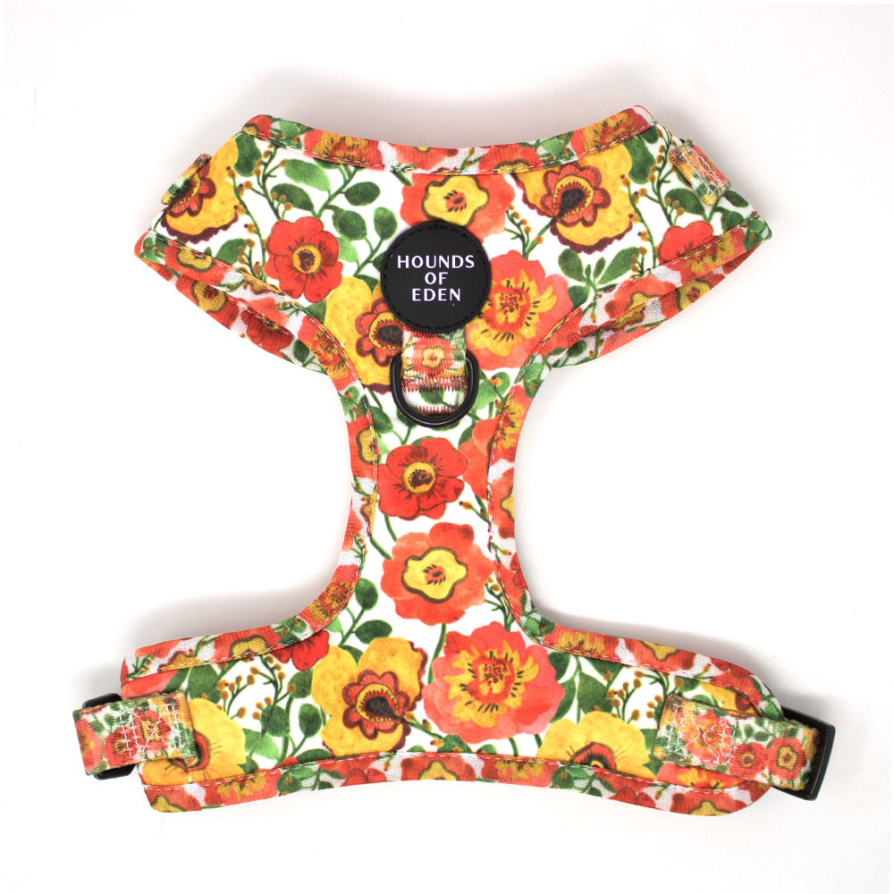 Poppy dog harness online