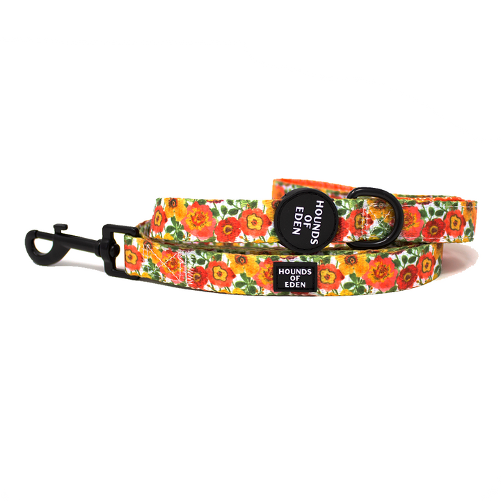 Autumn Blossom - Floral Poppy Dog Collar