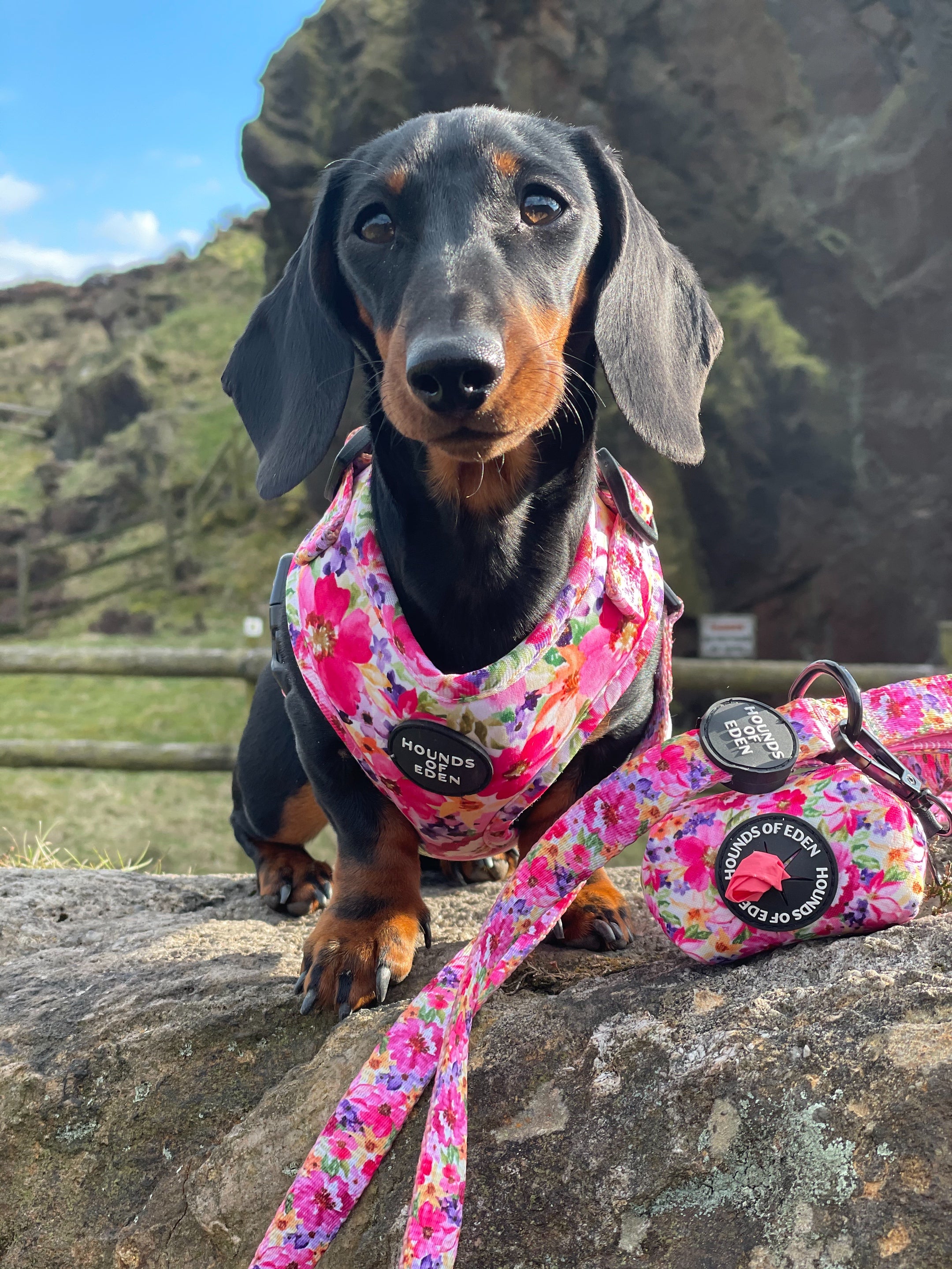Handmade Pink & Purple Flowers Dog Collar – White Floral Fabric On Polypro Webbing