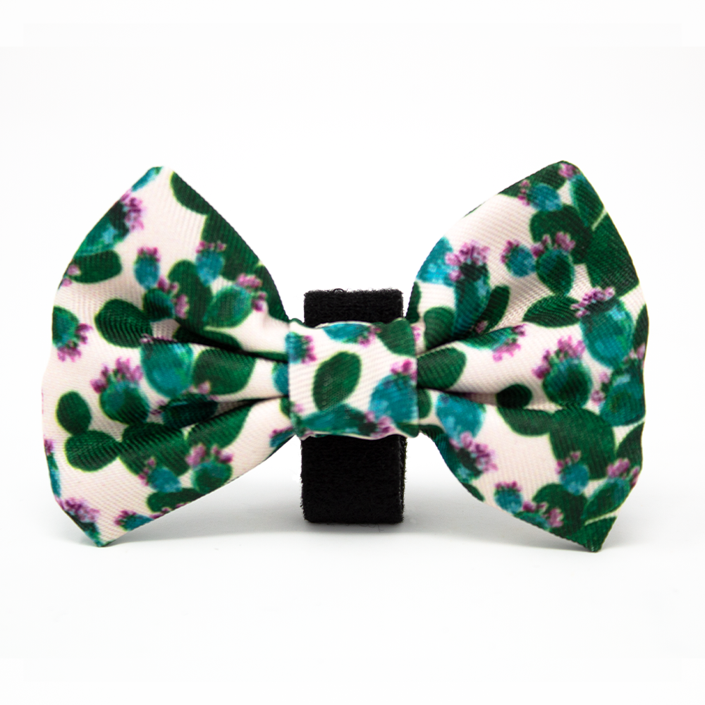 Looking Sharp - Green Cactus and Pink Dog Bow Tie