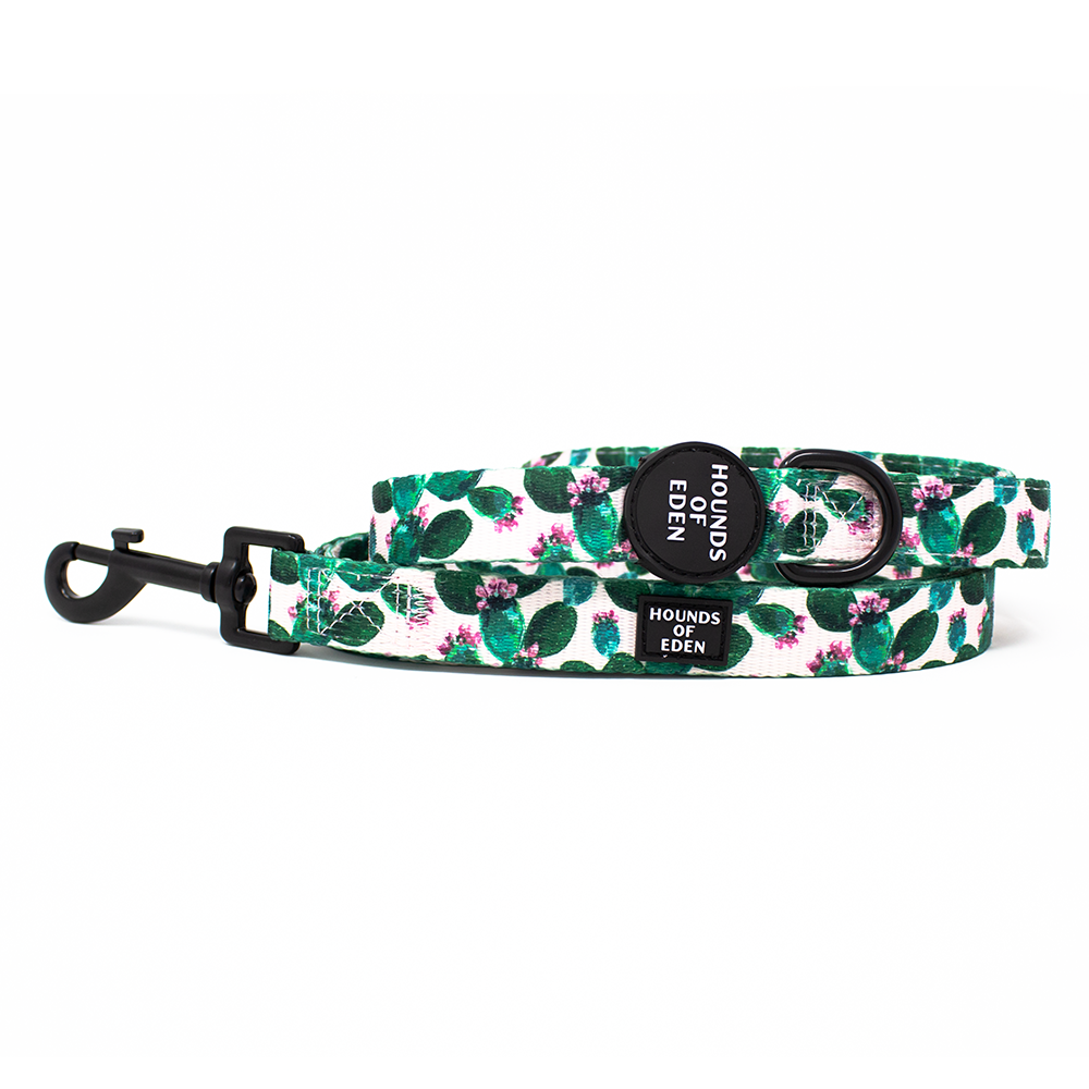 Looking Sharp - Green Cactus and Pink Dog Lead
