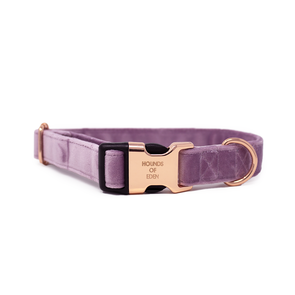 Lilac Dreams - Lilac Velvet Dog Collar with Rose Gold Metal Hardware
