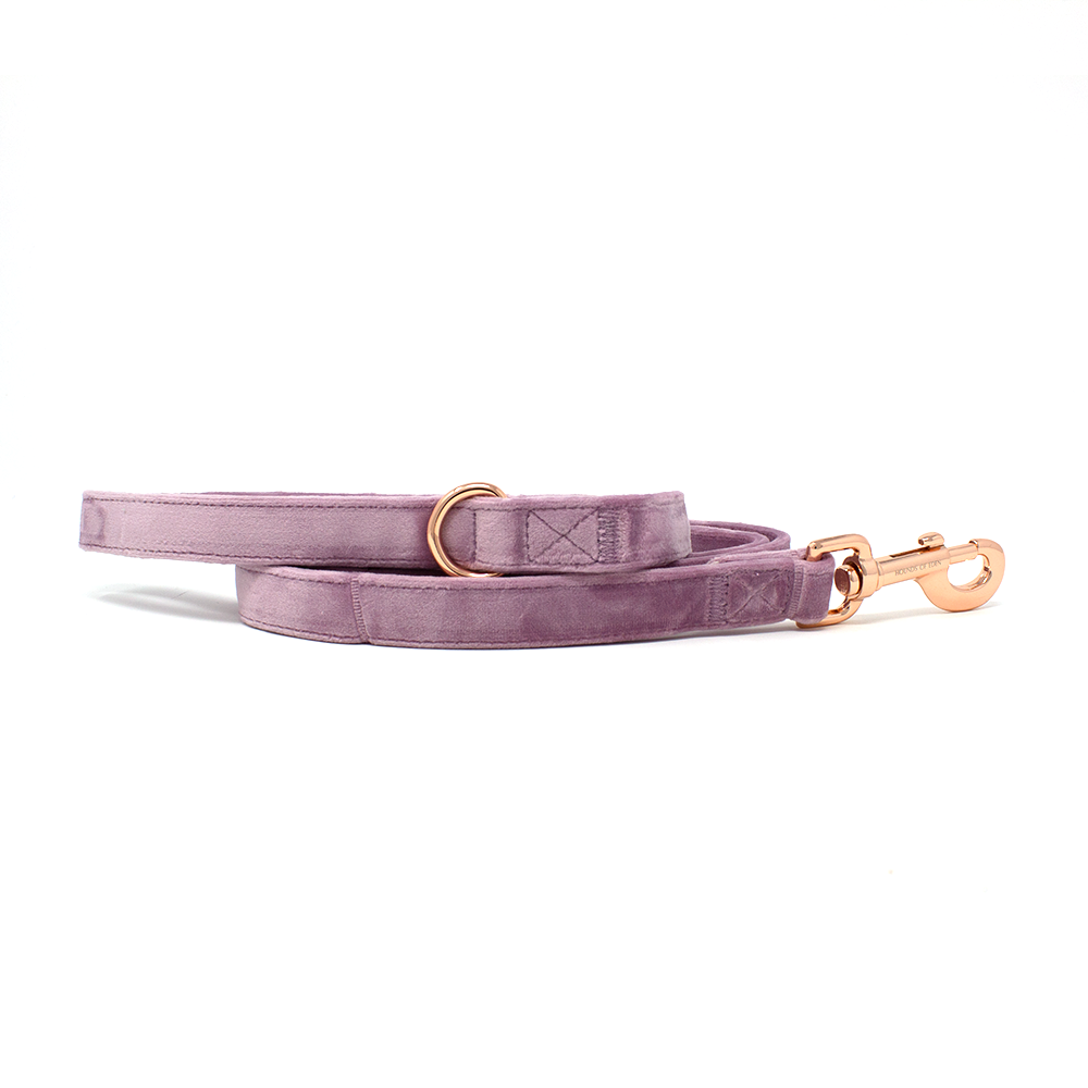 Lilac Dreams - Lilac Velvet Dog Collar with Rose Gold Metal Hardware