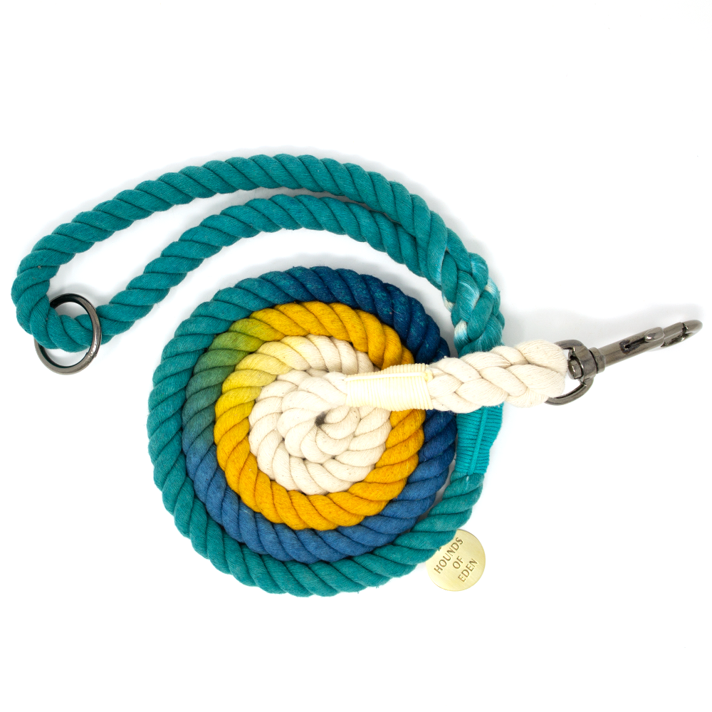 Ombre Turquoise & Orange Cotton Rope Lead