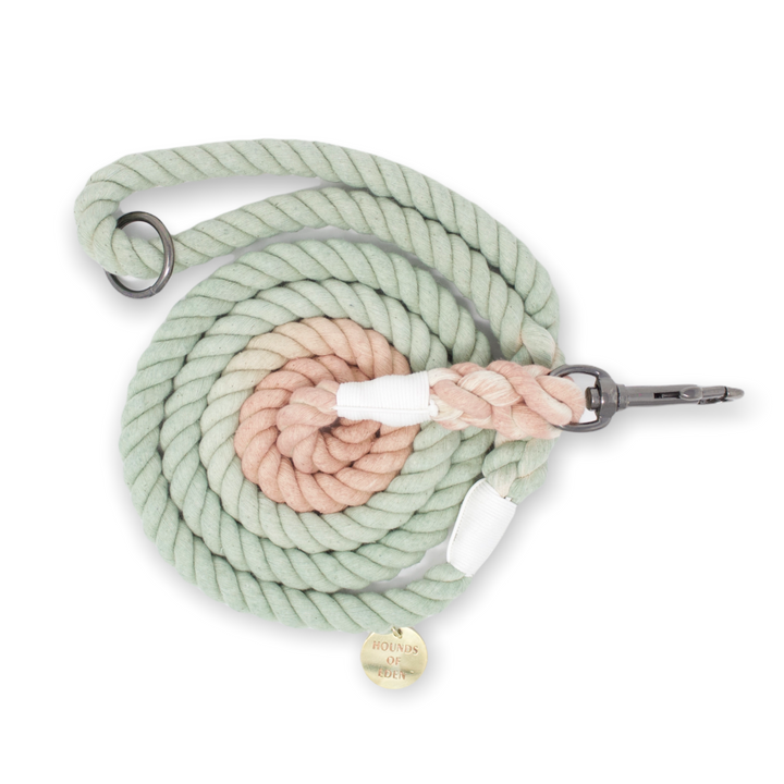Teddy - Mint & Light Brown Ombre Rope Lead