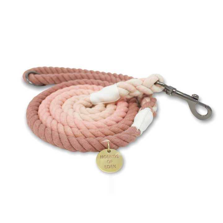 Arctic Wonderland - Pink Ombre Rope Lead
