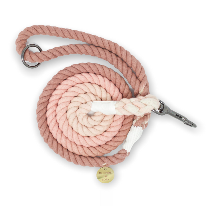 Arctic Wonderland - Pink Ombre Rope Lead