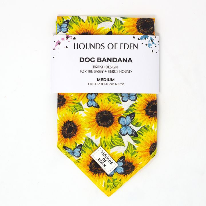 Sunflower Flutter - Yellow and Blue Butterfly Dog Harness