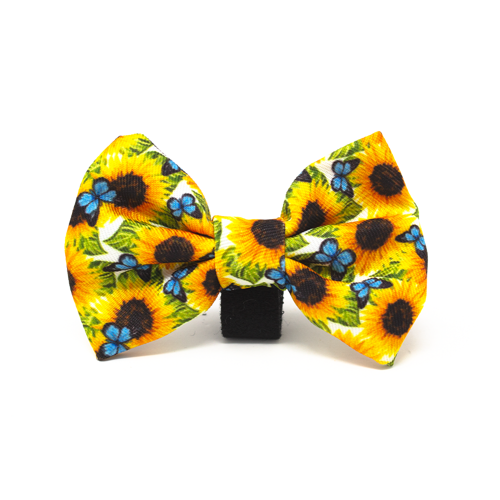 Sunflower Flutter - Yellow and Blue Dog Bow Tie